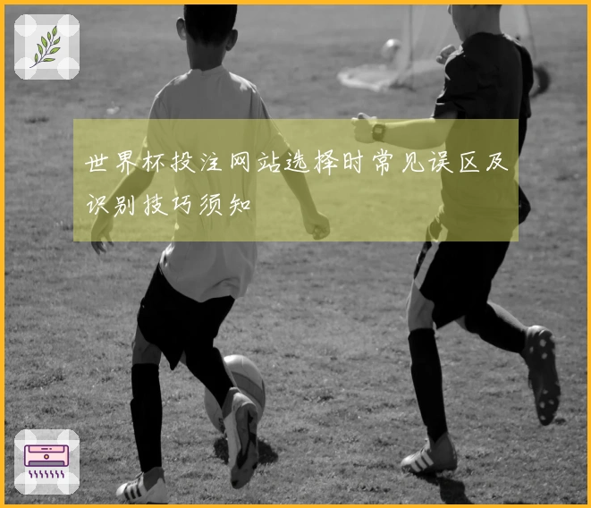 世界杯投注网站选择时常见误区及识别技巧须知