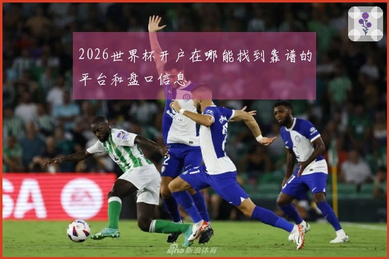 2026世界杯开户在哪能找到靠谱的平台和盘口信息