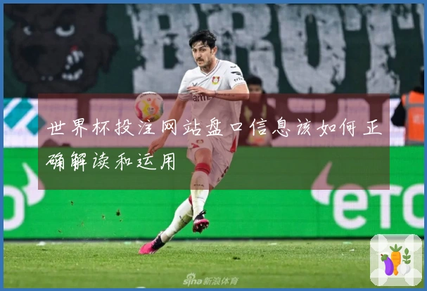 世界杯投注网站盘口信息该如何正确解读和运用