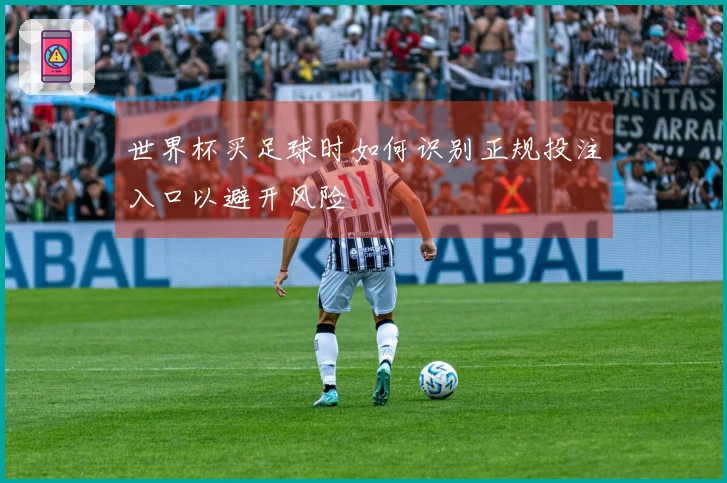 世界杯买足球时如何识别正规投注入口以避开风险